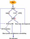 Figure 9.