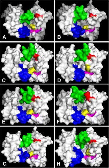 Fig. 2