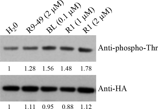 Fig 8