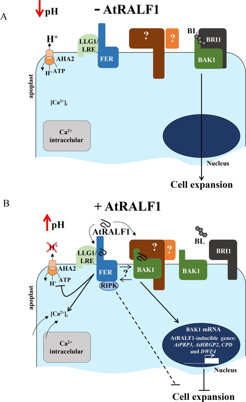 Fig 9