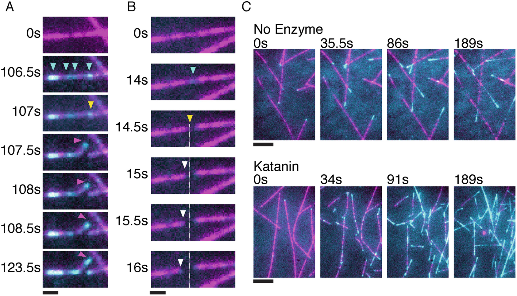 Fig 3.