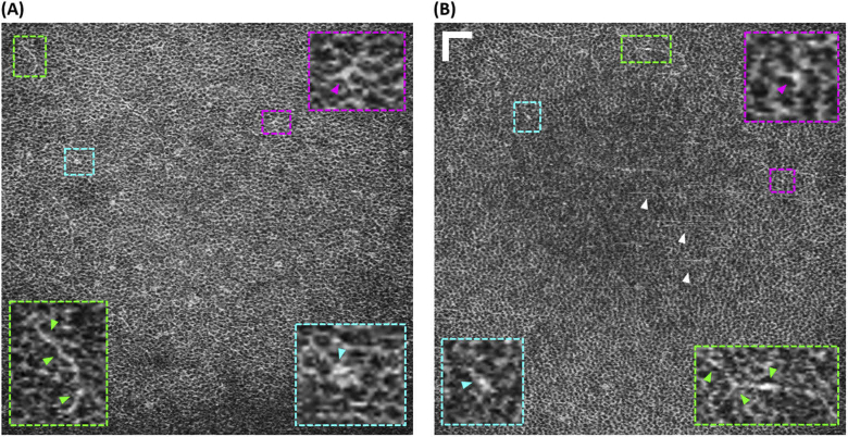 Fig. 7.