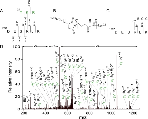 Fig. 4.