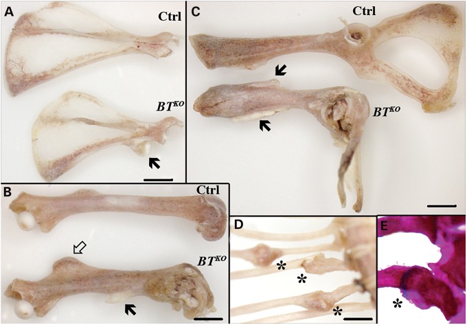 Figure 3.