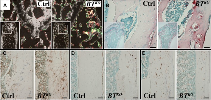 Figure 6.