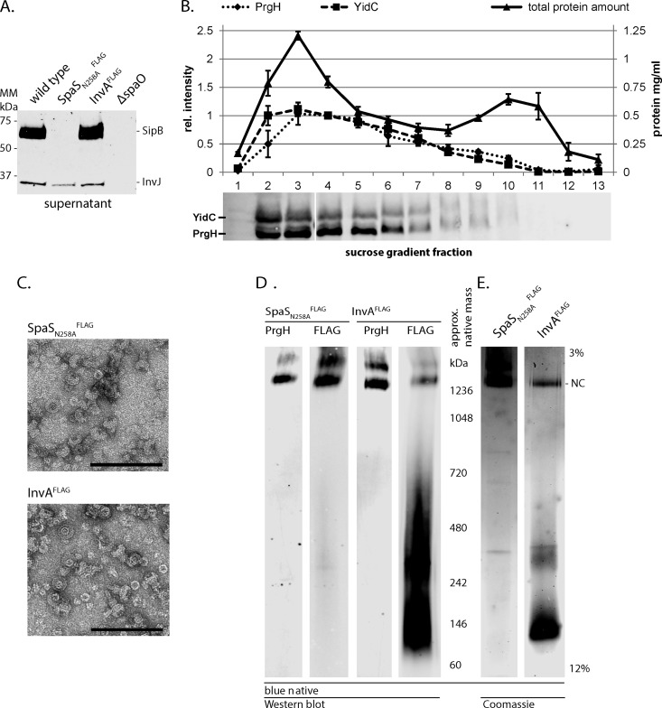 Fig. 3.