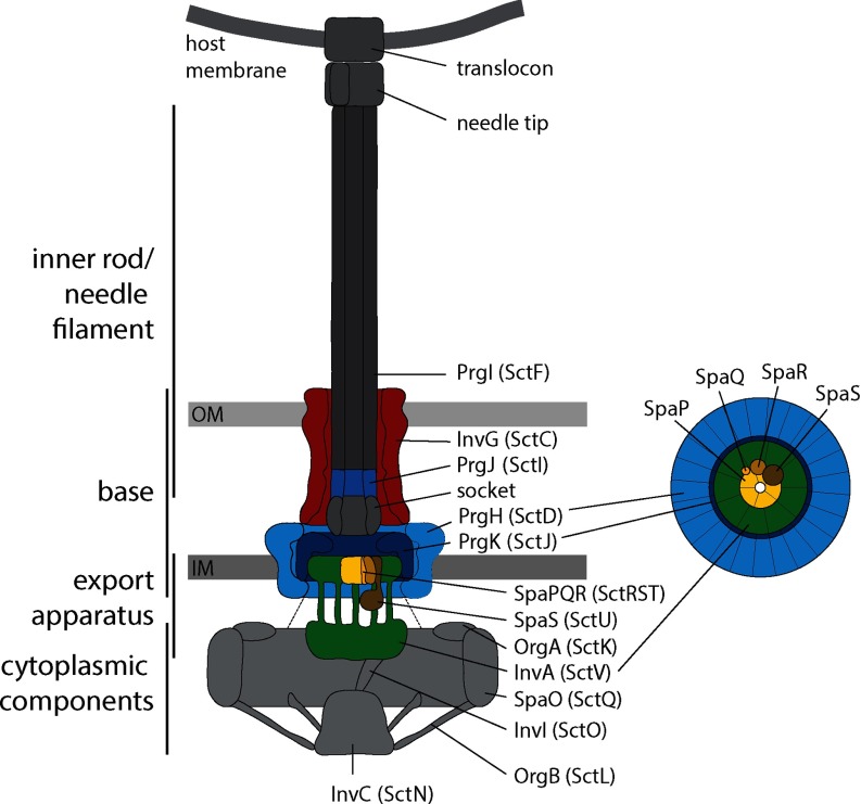 Fig. 1.