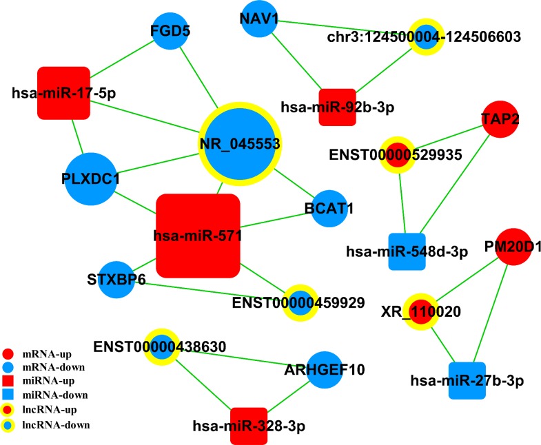 Figure 7