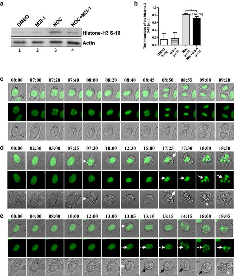 Fig. 2