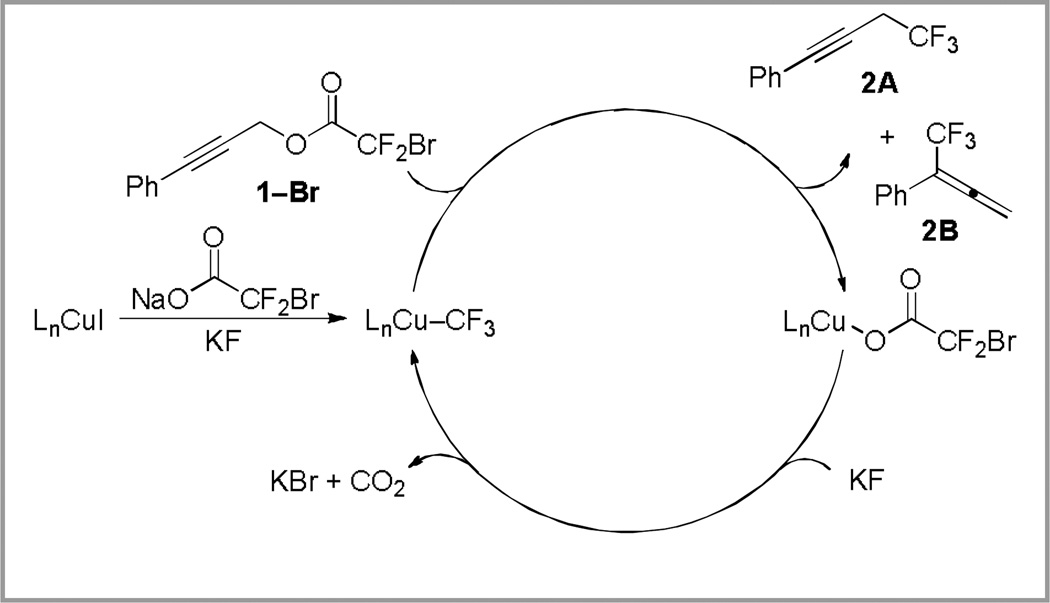 Scheme 4