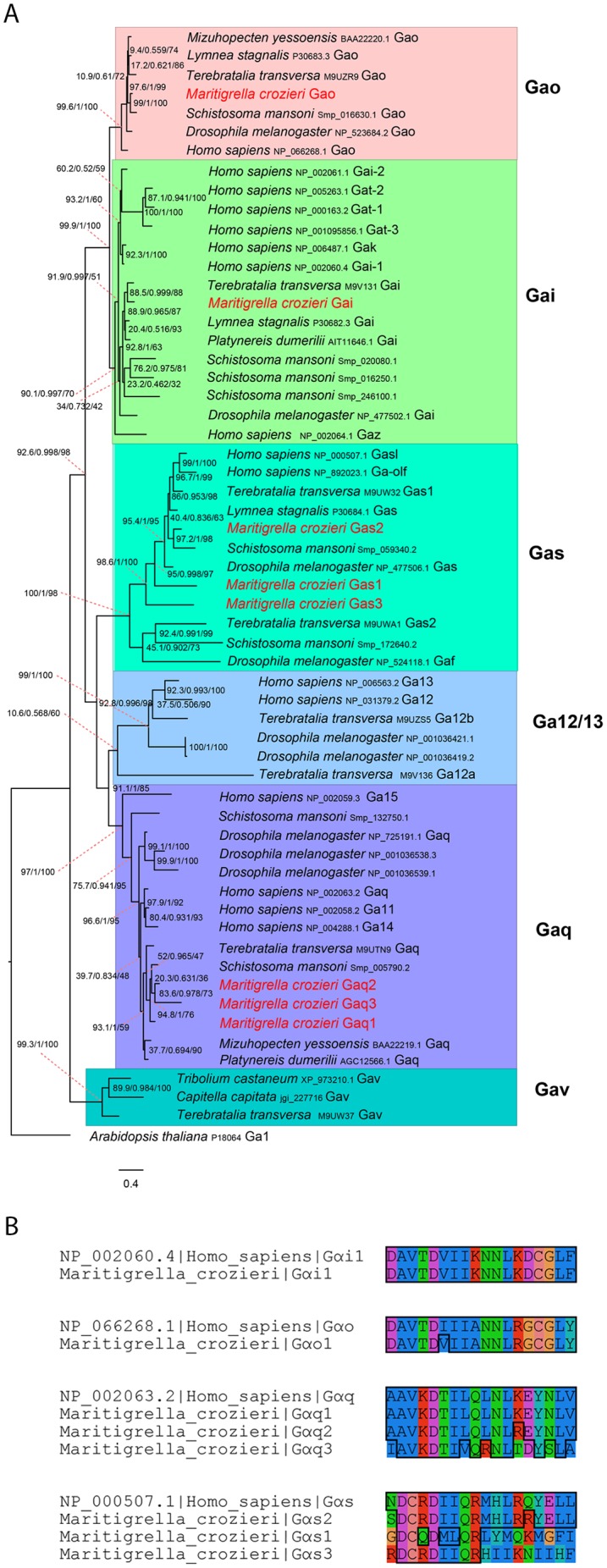 Figure 5—figure supplement 1.