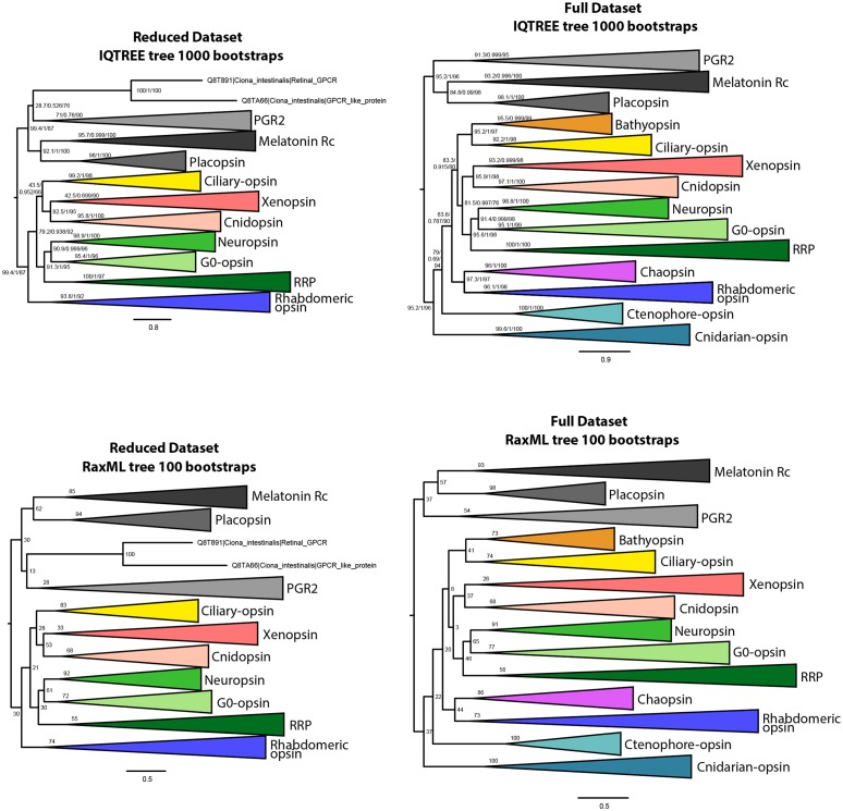 Figure 1—figure supplement 2.