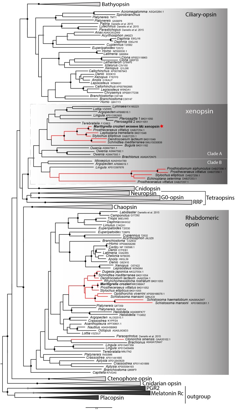 Figure 1.