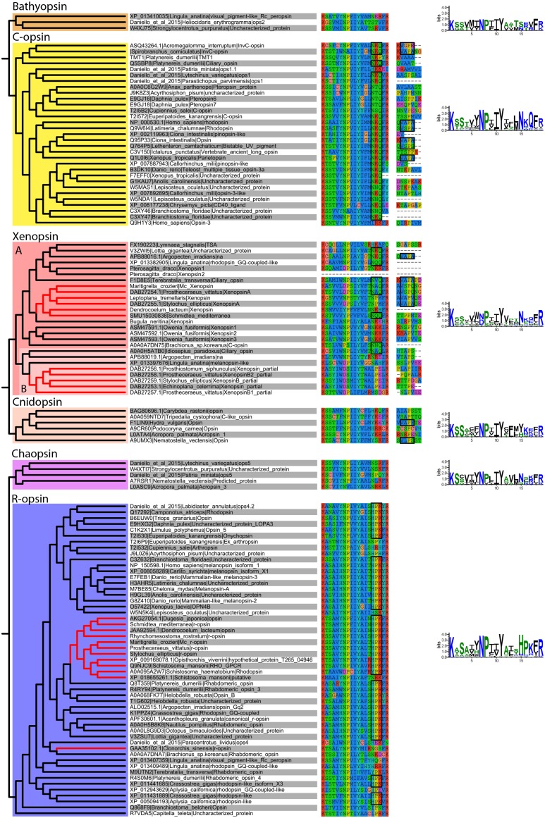 Figure 1—figure supplement 3.