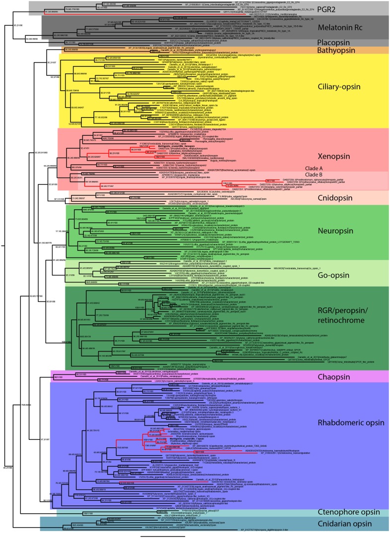 Figure 1—figure supplement 1.