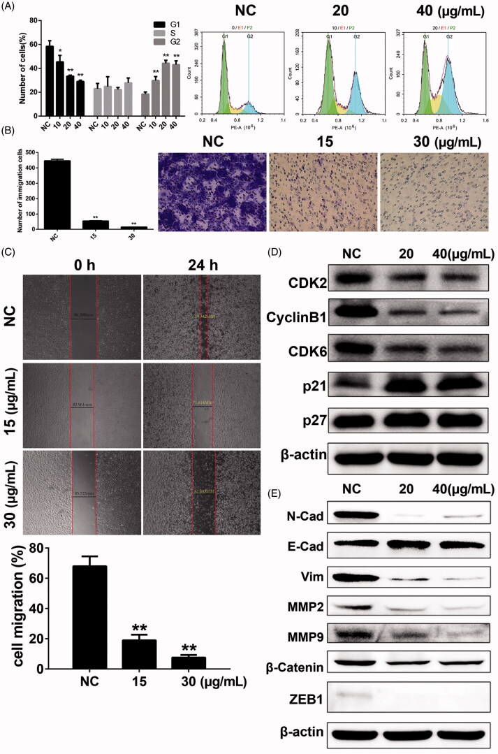 Figure 6.