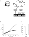 FIG. 1.