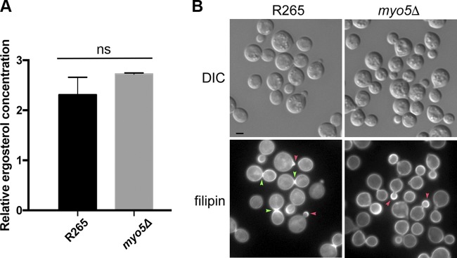 FIG 8