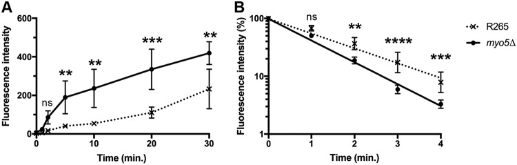 FIG 7