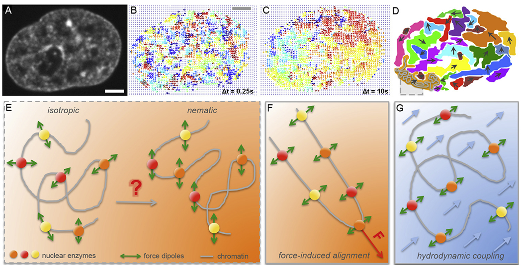 Figure 2: