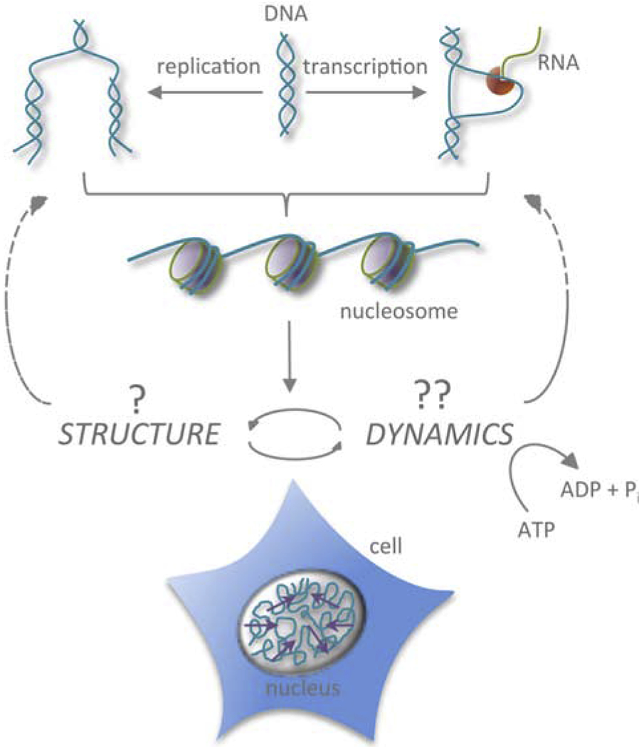 Figure 1: