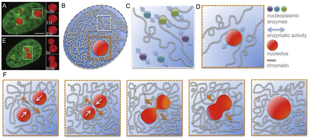 Figure 3: