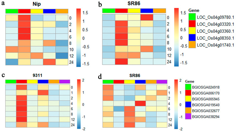 Figure 7