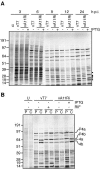 FIG. 6.