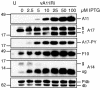 FIG. 7.