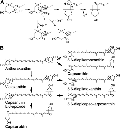 Figure 7.