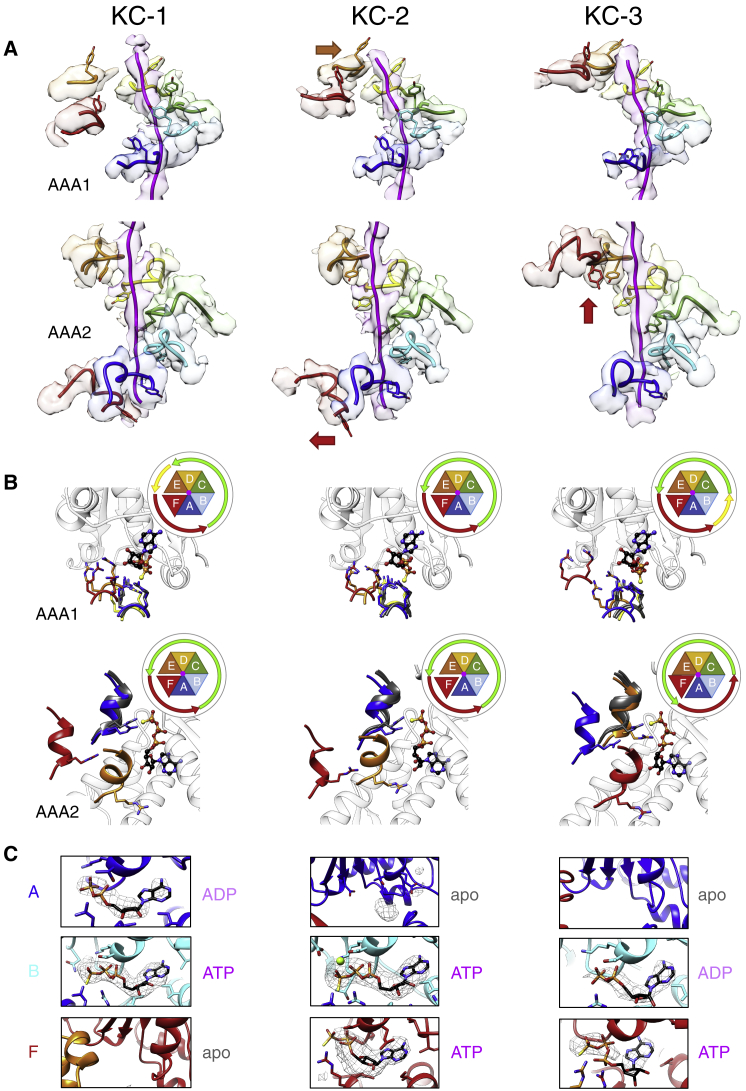 Figure 3