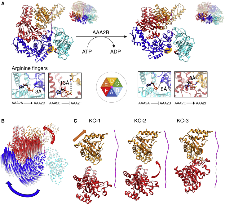 Figure 4