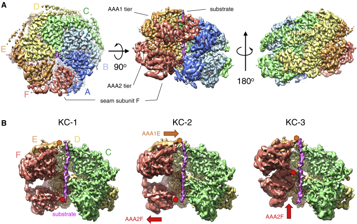 Figure 2