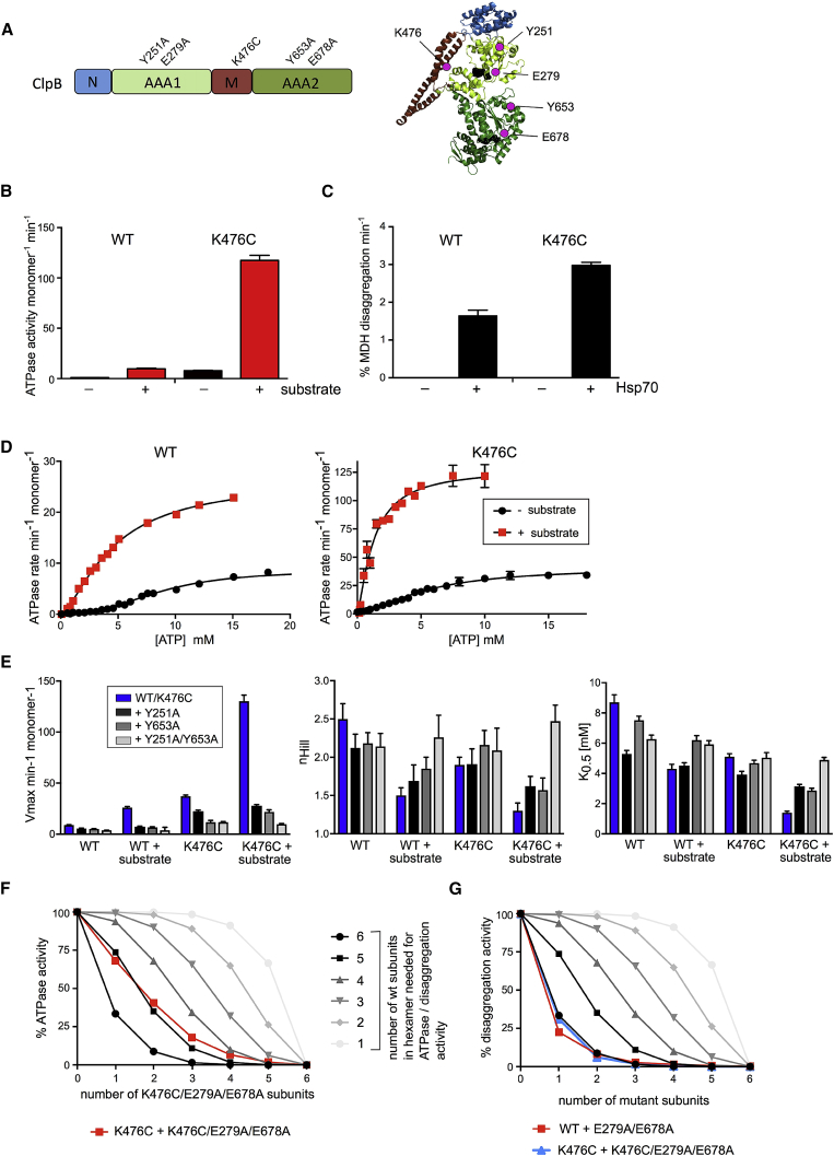 Figure 1