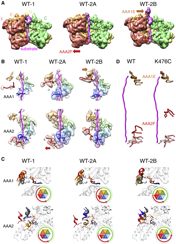 Figure 6