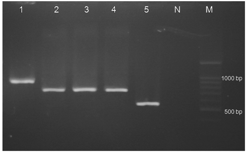 Figure 3