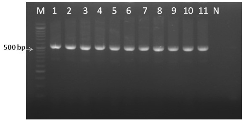 Figure 2