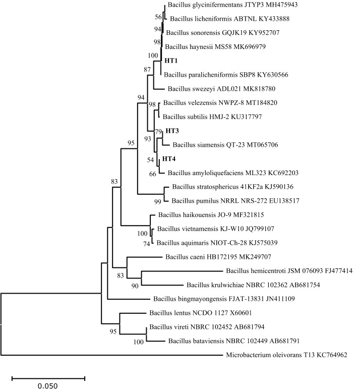 Figure 2