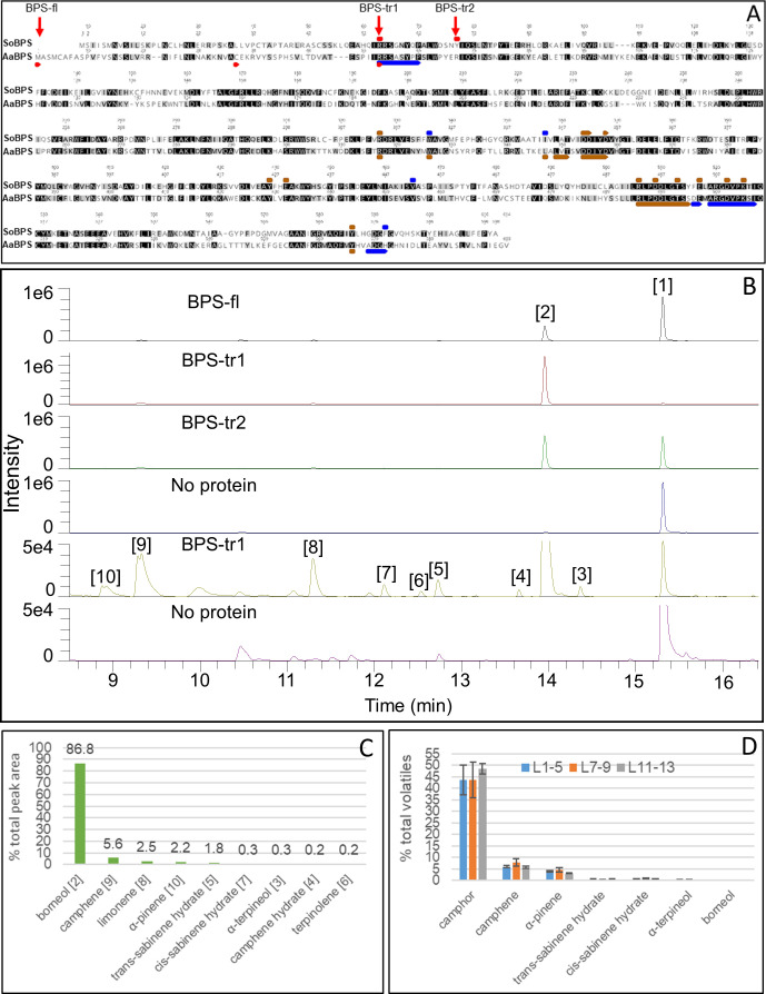 Figure 6