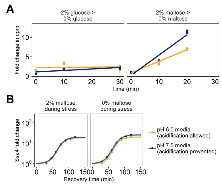 Figure 2—figure supplement 1.