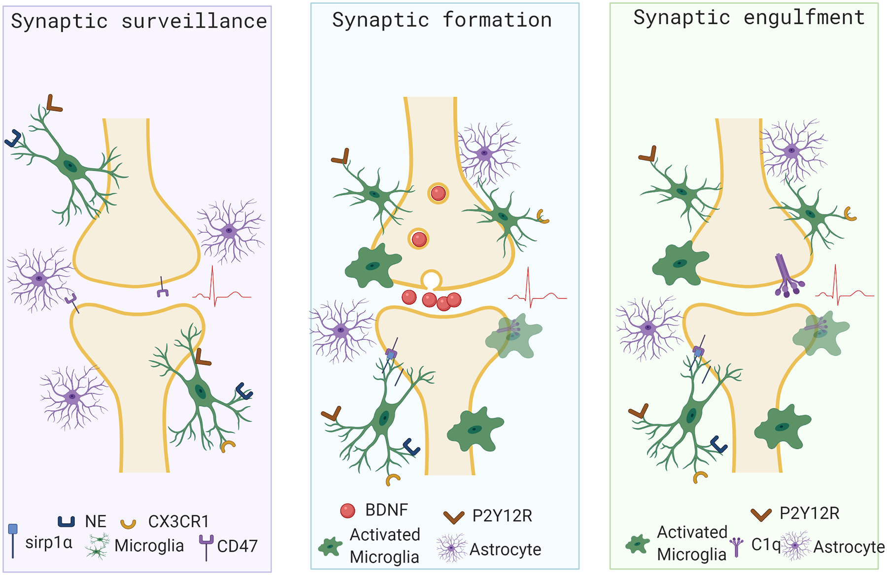 Figure 2: