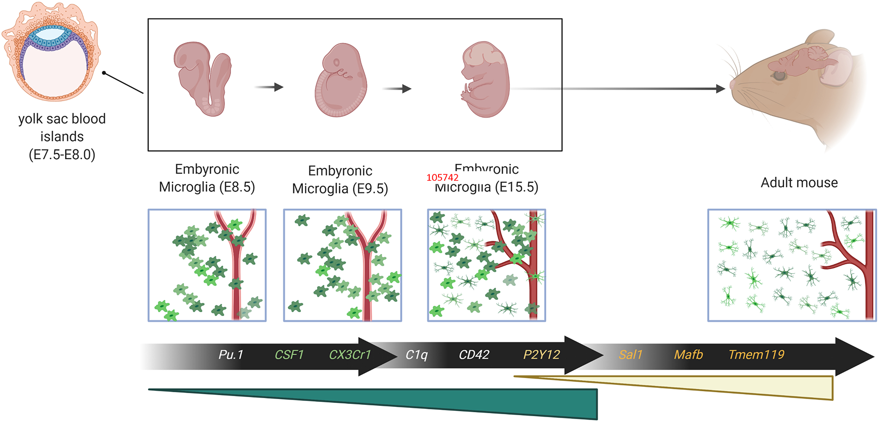 Figure 1: