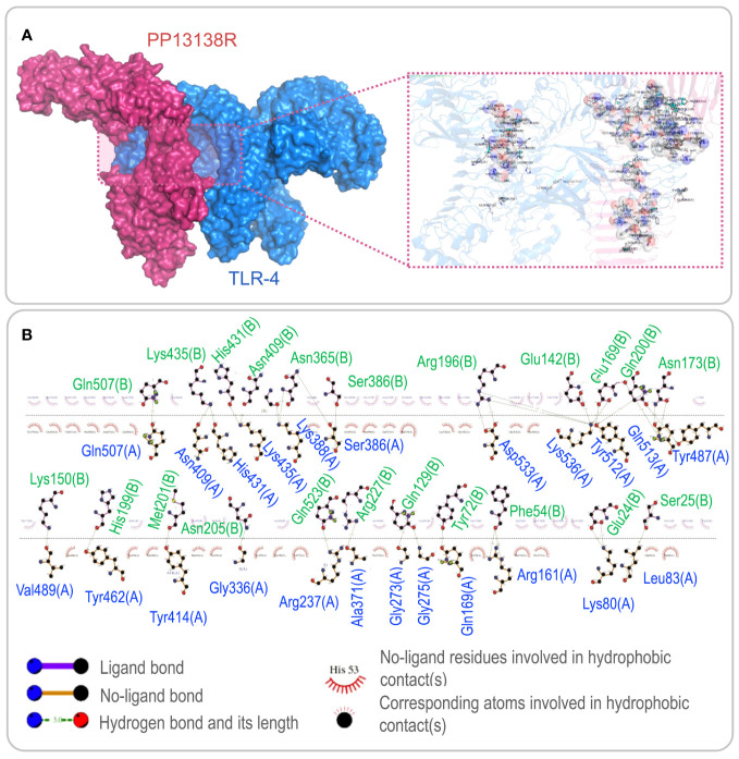 Figure 4