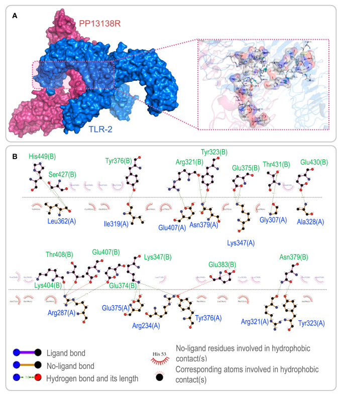 Figure 3