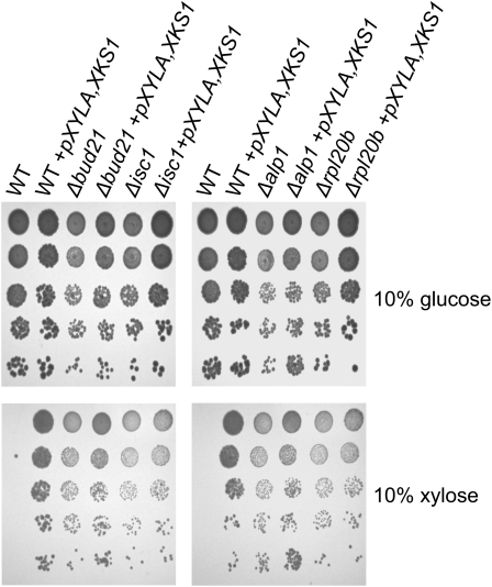 Figure 5 