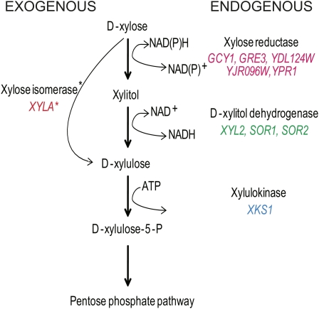 Figure 1 