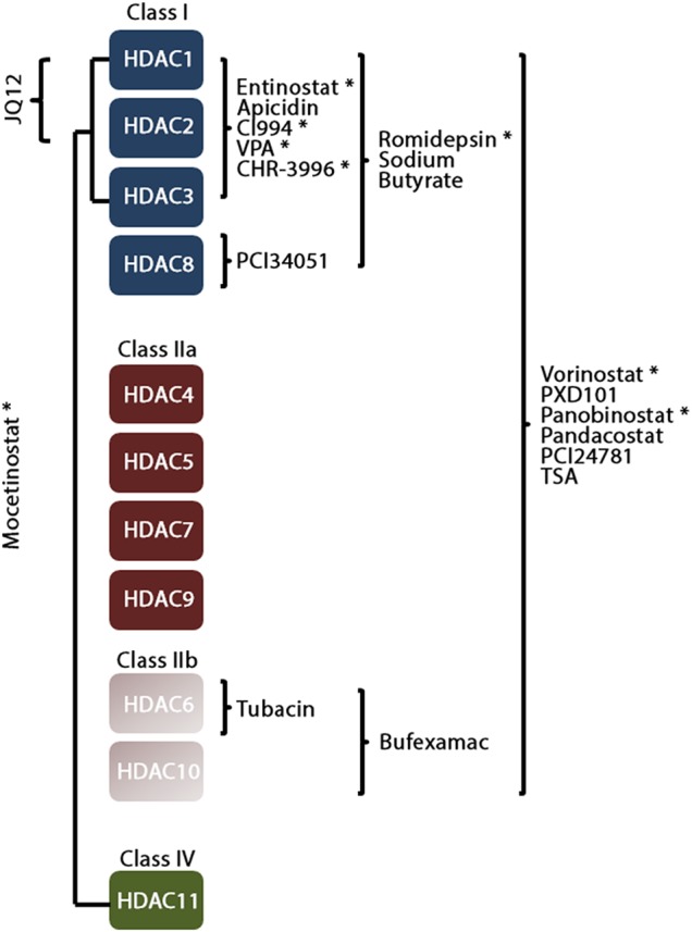 Figure 2