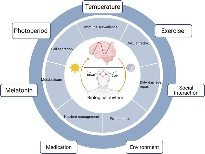 FIGURE 1