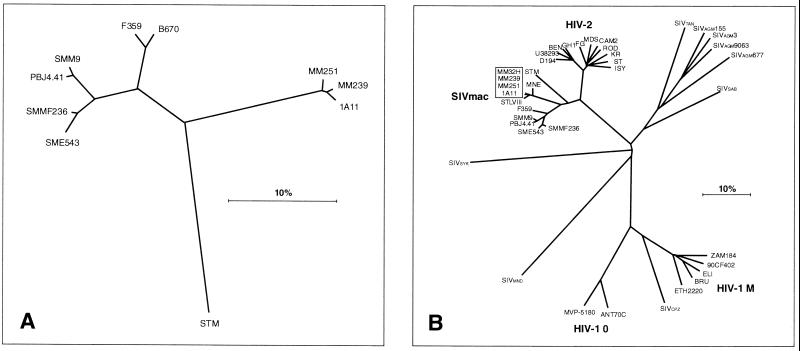 FIG. 7