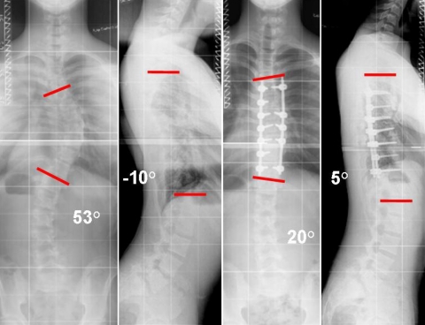 Fig. 3